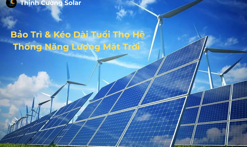 Bảo T (1)