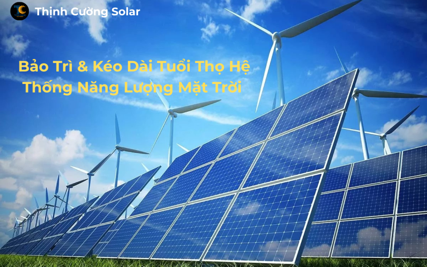 Bảo T (1) Bảo T (1)