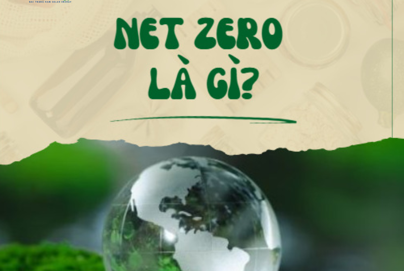 ảnh BTN (5) NET ZERO
