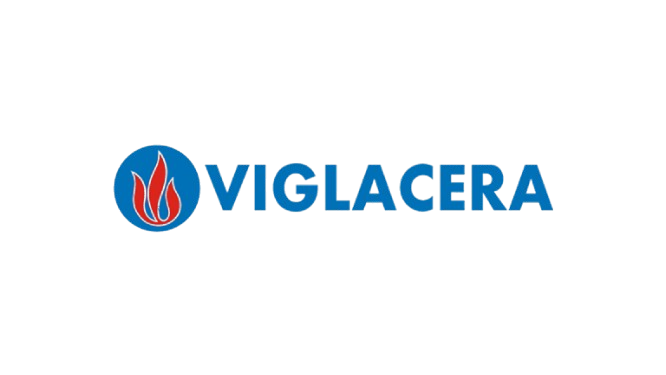 logo vig